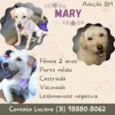 Mary