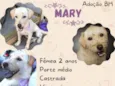 Mary