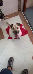 Nina