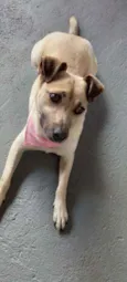 Nina