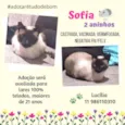 Sofia e Benedito