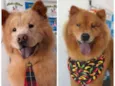 Kiara e spike