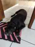 Zeus e Thor