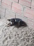Nao tem