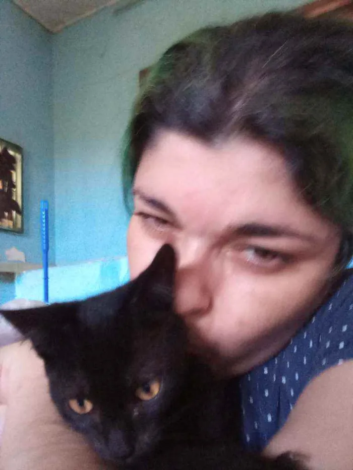 Gato ra a Srd idade 2 a 6 meses nome Baldur