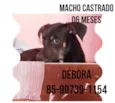 Pretinho