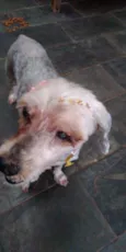Princesa