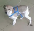 Fred