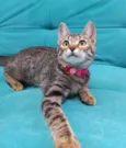 Clara