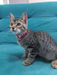 Clara