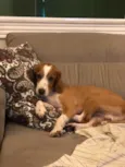 Marley