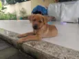 Não tem 