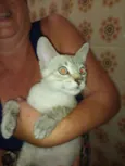 Tom