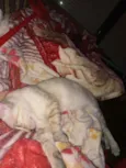 Tom