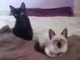 Luzia e Hermes