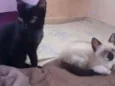 Luzia e Hermes