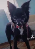 Princesa 
