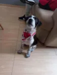 Marley