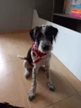 Marley