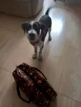Marley