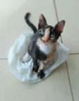 Esther