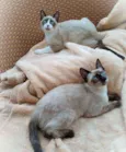 July & April
