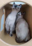 July & April