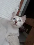 Berilo