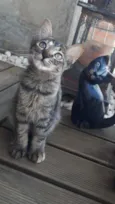 Esmeralda