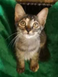 Esmeralda