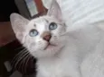 Berilo