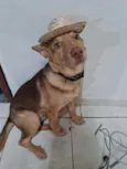 Logan
