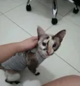 ..