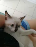 ..