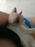 ..