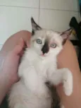 ..