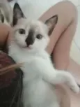 ..