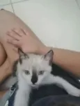 ..
