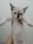 ..