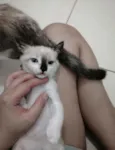 ..