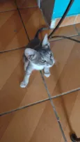 Zeus
