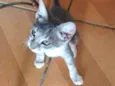 Zeus
