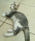 Gary