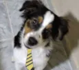 Bob 