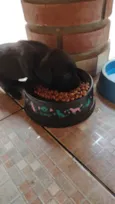 Não tem