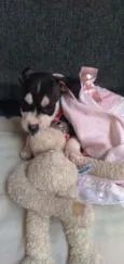 Lucy