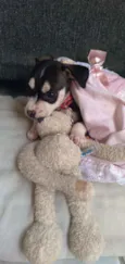 Lucy