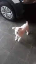 Chu