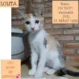 LOLITA