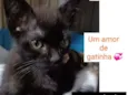 BIBELÔ